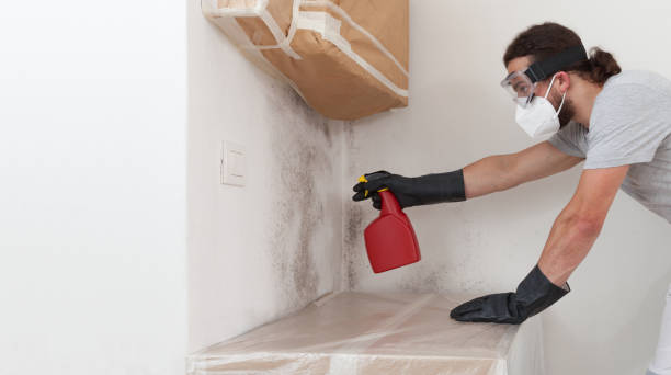 Professional Mold Cleanup technician working in Lucama, NC