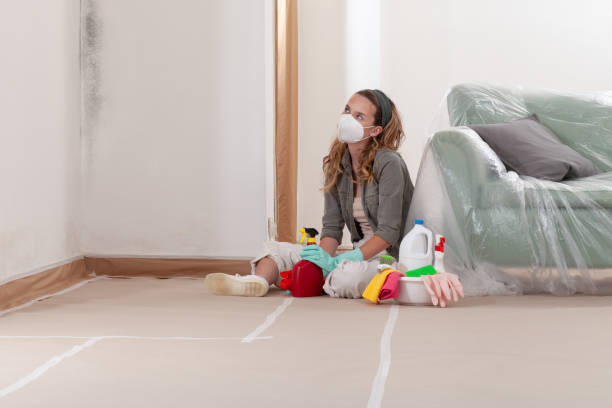 Reliable Mold Cleanup contractor in Lucama, NC by WQB Mold Removal